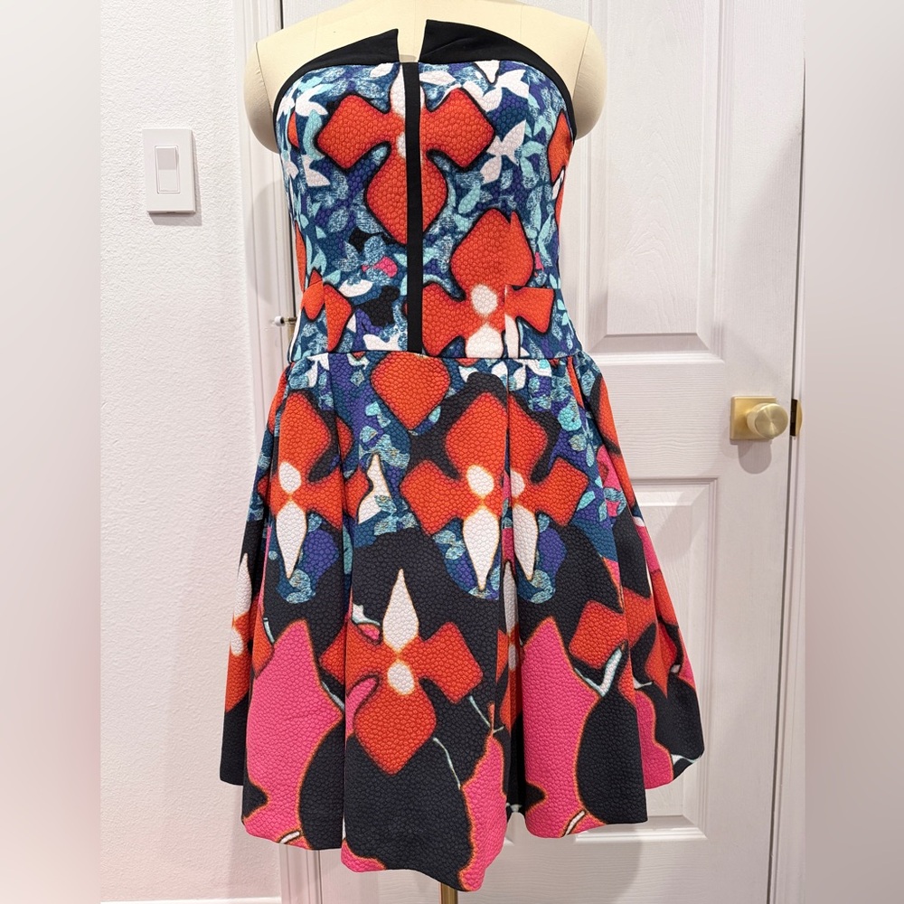 Peter Pilotto x Target Elegant Graphic Modern Dress